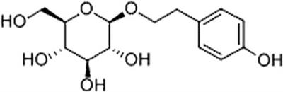 Salidroside Attenuates Cognitive Dysfunction in Senescence-Accelerated Mouse Prone 8 (SAMP8) Mice and Modulates Inflammation of the Gut-Brain Axis